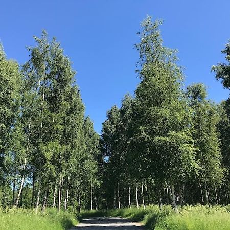 Stort Hus I Porsgrunn Sentrum Med Gangavstand Til "Alt" & Gratis Parkering Til Flere Biler Esterno foto