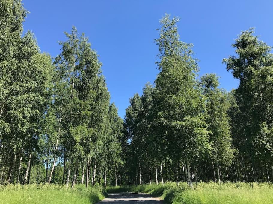 Stort Hus I Porsgrunn Sentrum Med Gangavstand Til "Alt" & Gratis Parkering Til Flere Biler Esterno foto