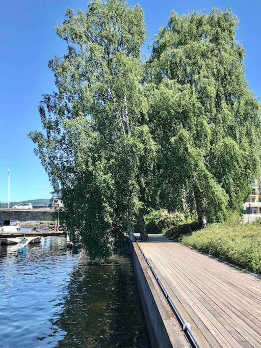Stort Hus I Porsgrunn Sentrum Med Gangavstand Til "Alt" & Gratis Parkering Til Flere Biler Esterno foto