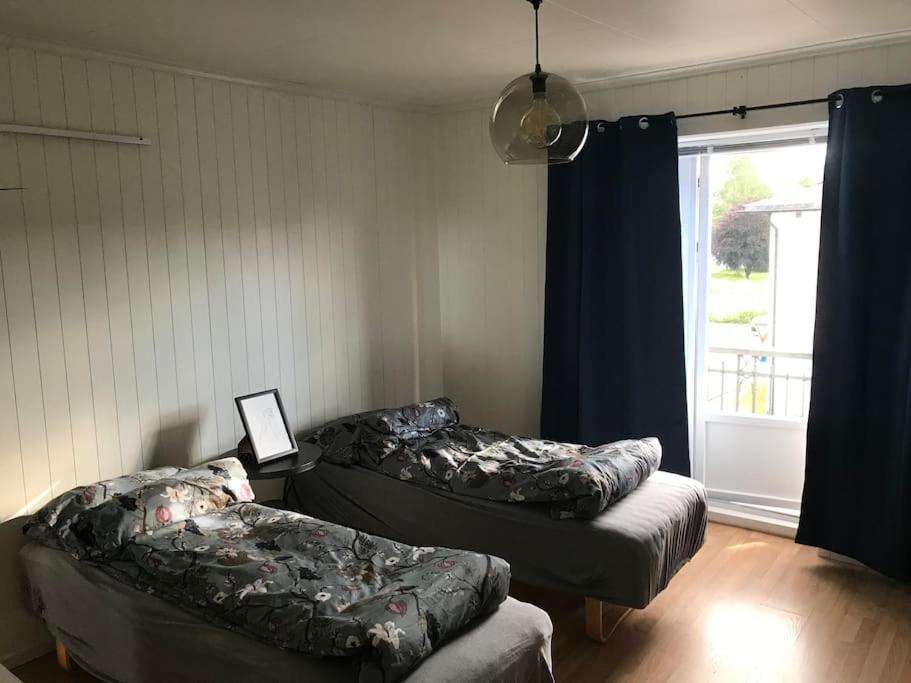 Stort Hus I Porsgrunn Sentrum Med Gangavstand Til "Alt" & Gratis Parkering Til Flere Biler Esterno foto